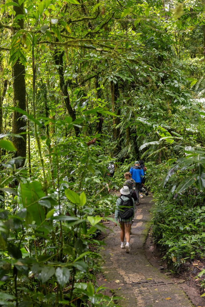 Intrepid Photography Costa Rica